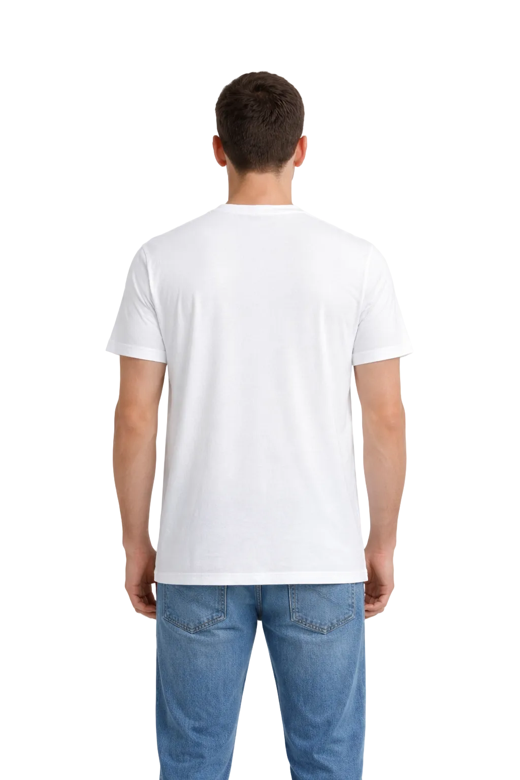 BOB - TSHIRT MANICA CORTA CON FANTASIA